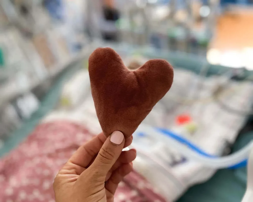 Dear New Heart Mama adult hand pink nails holding dark mauve mini plush heart in focus over blurred background of hospital bed